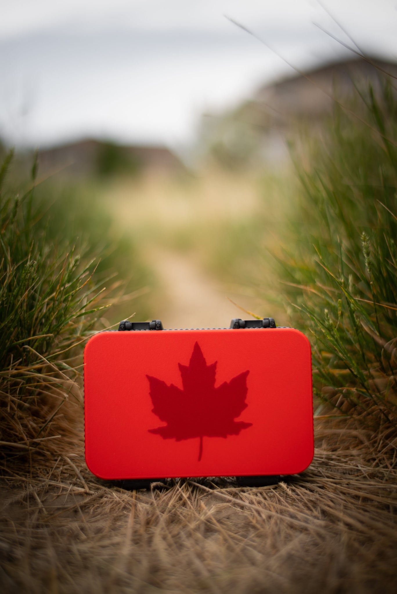 Canadian-Made 7-Slot Harmonica Case by Woozle Harmonicas